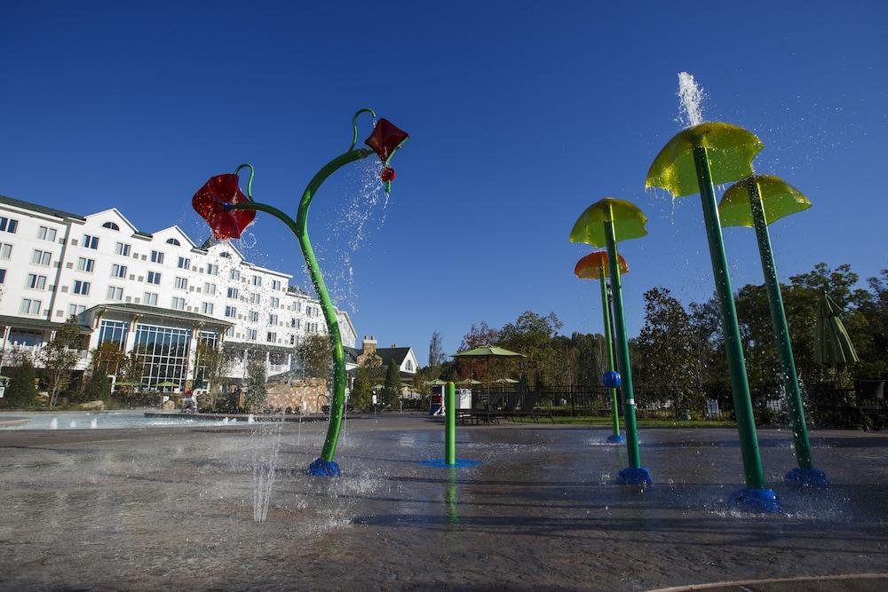 Dollywood'S Dreammore Resort And Spa Pigeon Forge Εξωτερικό φωτογραφία